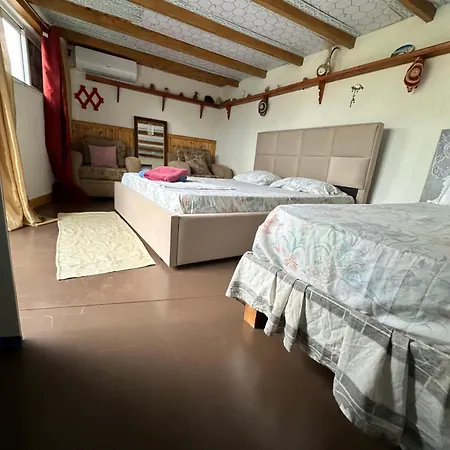 Guest house Zeko