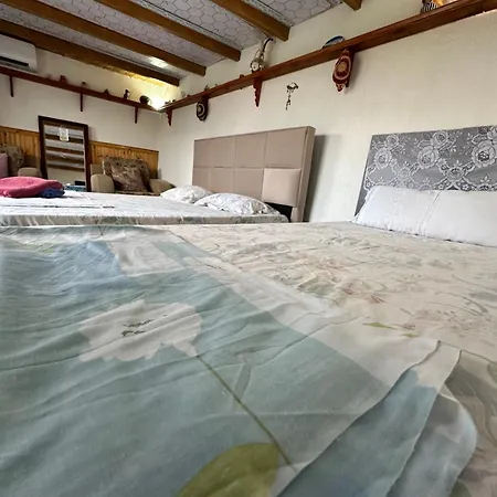 Casa de hóspedes Zeko 3*