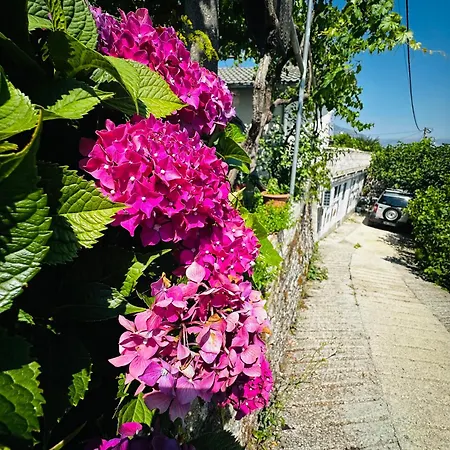 Villa Zeko 3*